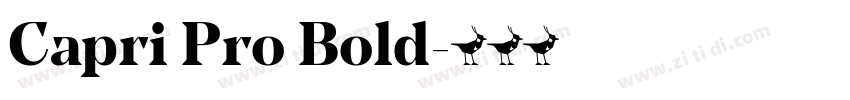 Capri Pro Bold字体转换